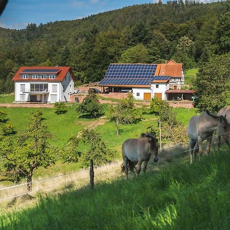 Apartmán Gruenewaldhof In Rimbach Im Odenwald Exteriér fotografie