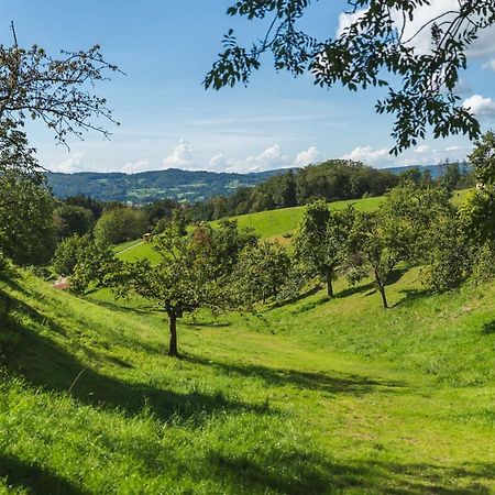 Apartmán Gruenewaldhof In Rimbach Im Odenwald Exteriér fotografie