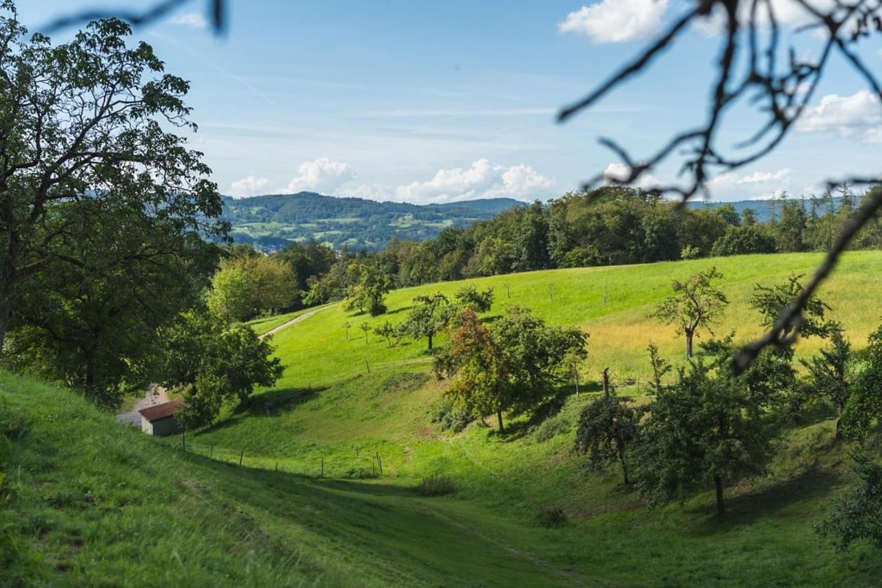 Apartmán Gruenewaldhof In Rimbach Im Odenwald Exteriér fotografie