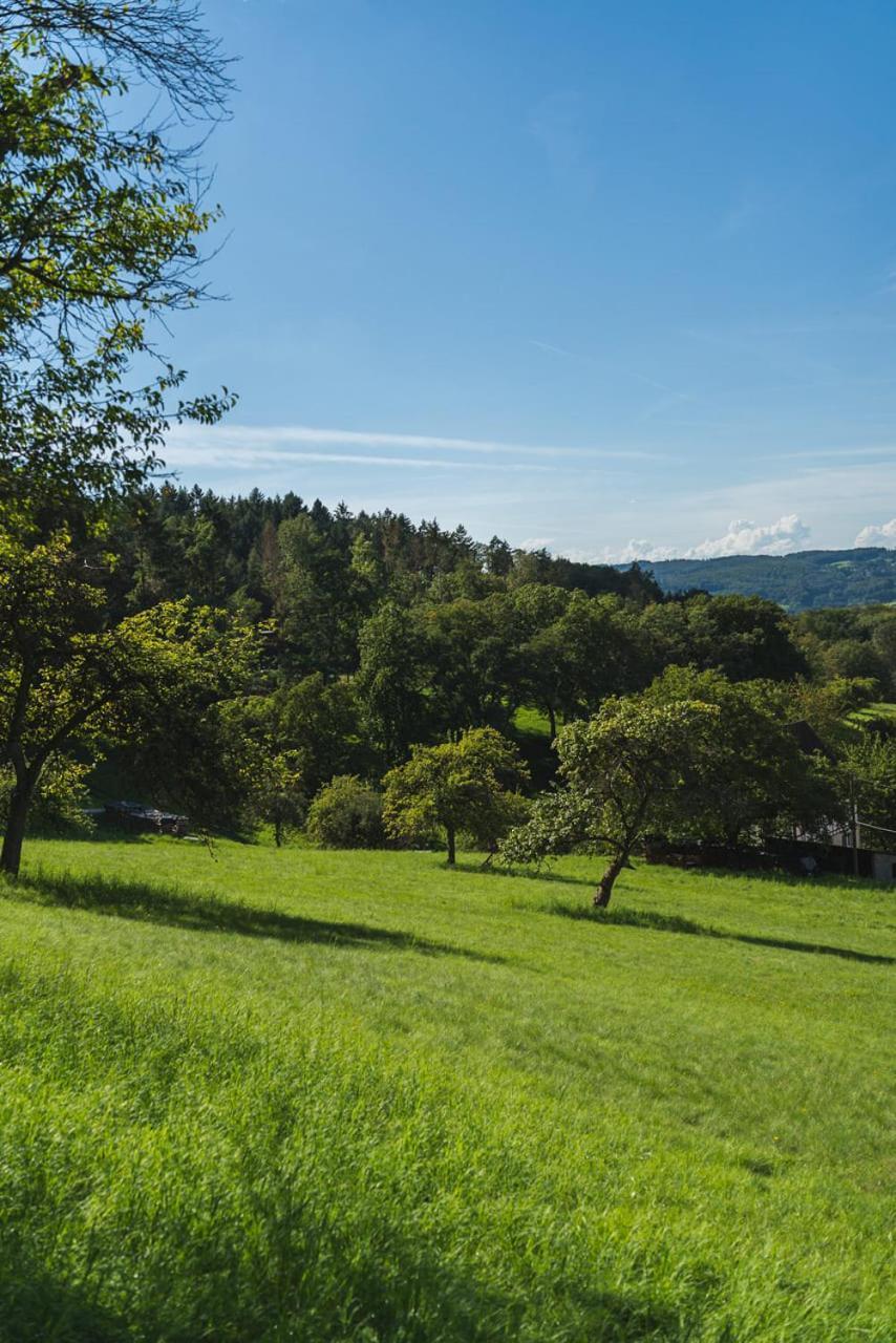 Apartmán Gruenewaldhof In Rimbach Im Odenwald Exteriér fotografie