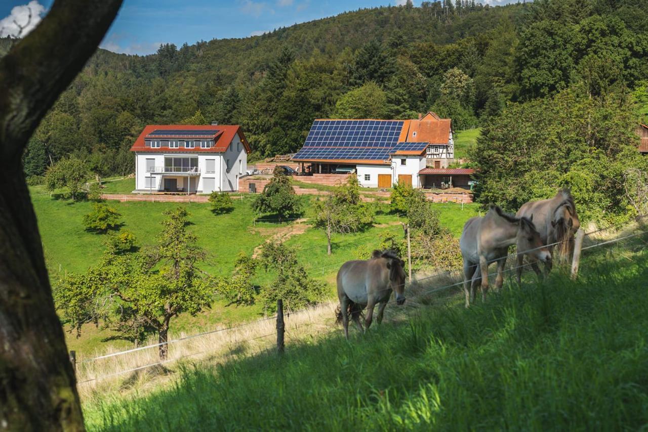 Apartmán Gruenewaldhof In Rimbach Im Odenwald Exteriér fotografie