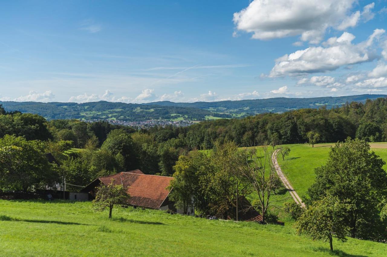 Apartmán Gruenewaldhof In Rimbach Im Odenwald Exteriér fotografie