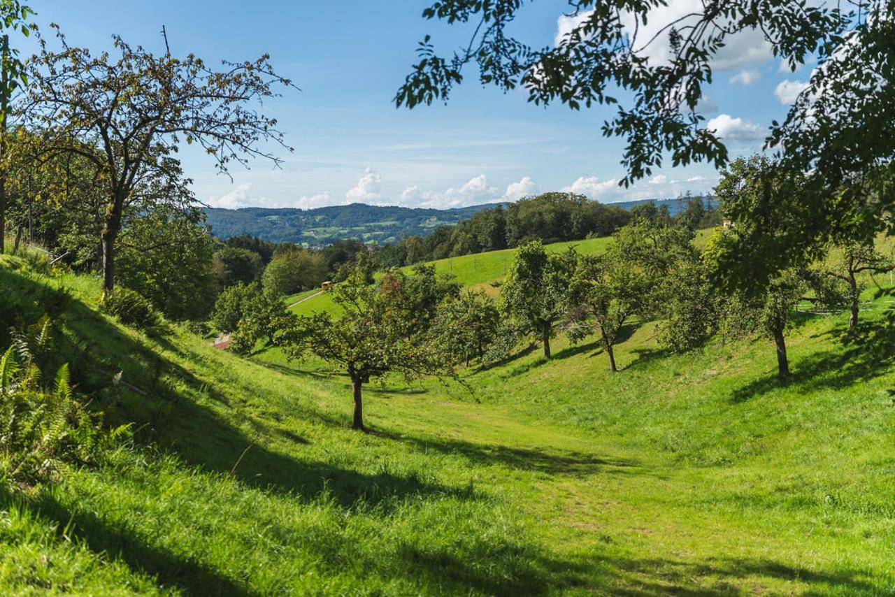 Apartmán Gruenewaldhof In Rimbach Im Odenwald Exteriér fotografie